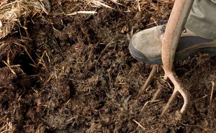 Compost Adelaide