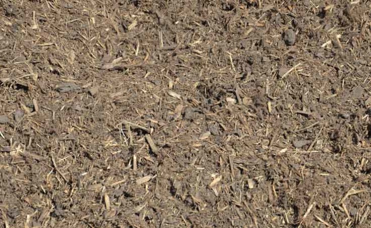 A good quality Mulch reduces evaporation