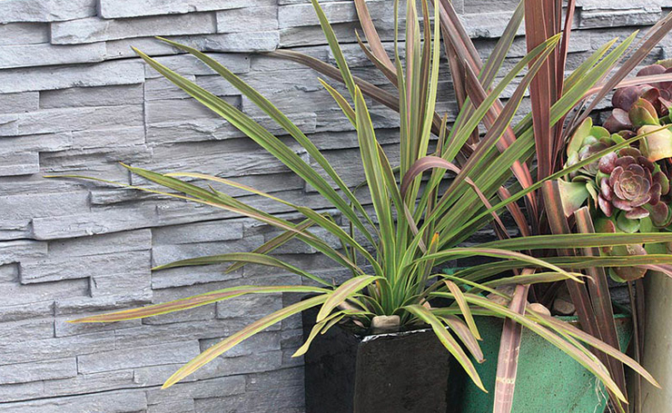 Concrete Sleeper Retaining Wall (Kensington)