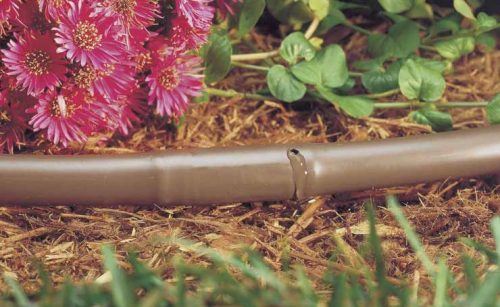 Drip Irrigation Adelaide