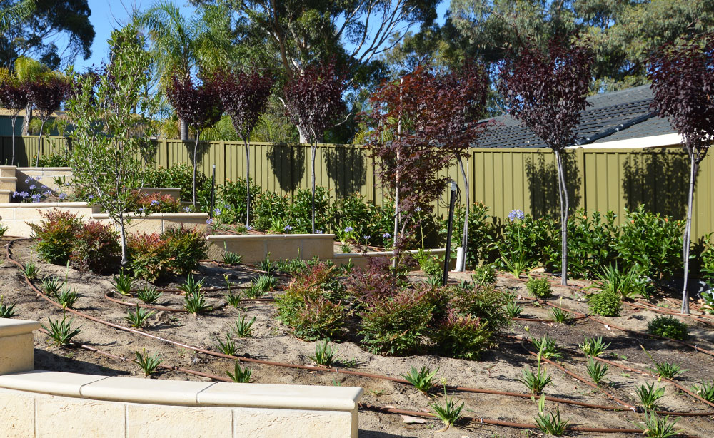 Drip Irrigation Adelaide | Drip Line Irrigation Systems