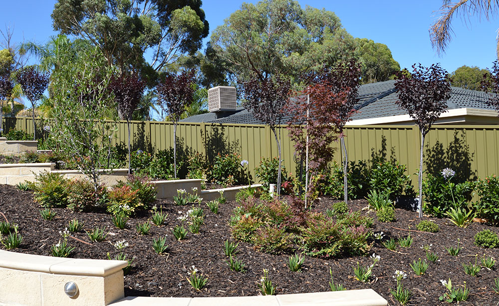 Drip Irrigation Adelaide | Drip Line Irrigation Systems