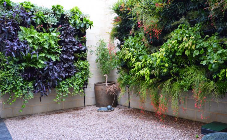 Courtyard Vertical Gardens Adelaide