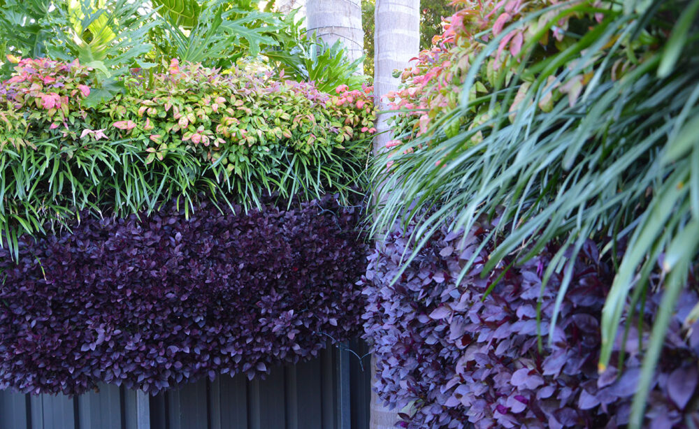 Vertical Gardens | Garden Features Adelaide