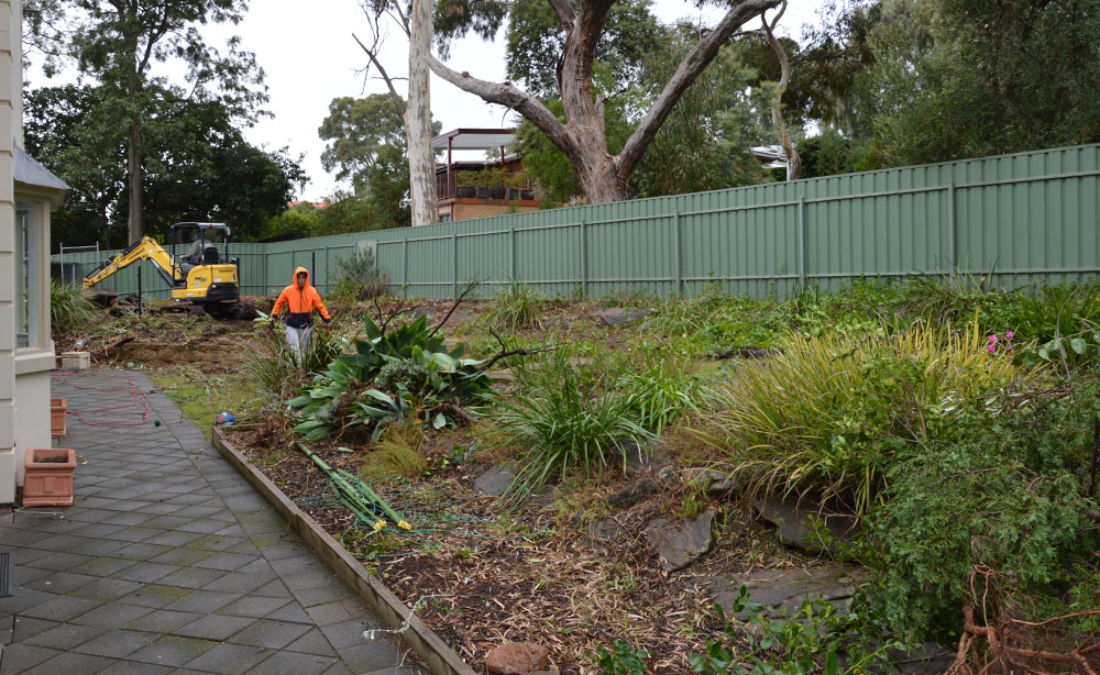 Back Garden to be renovated